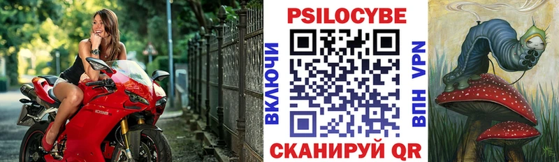 МЕГА ссылки  Свирск  Псилоцибиновые грибы Psilocybe 